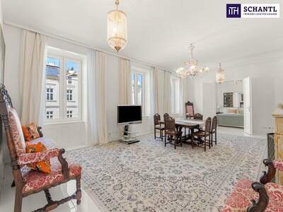 Chalet kaufen in 1180 Wien (Bild 2)