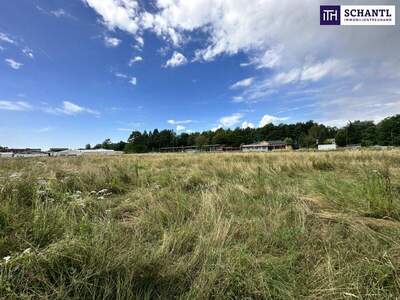 Grundstück kaufen in 8141 Unterpremstätten (Bild 5)