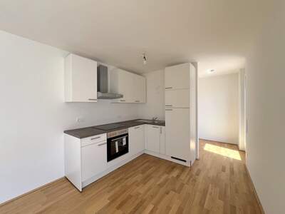 Terrassenwohnung mieten in 1110 Wien (Bild 3)
