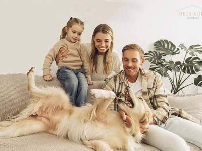 Wohnung kaufen in 9560 Feldkirchen