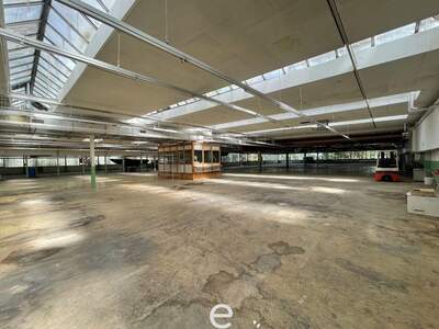 Gewerbeobjekt mieten in 4881 Straß (Bild 1)