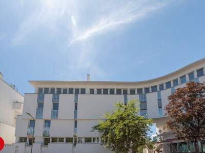 Büro / Praxis mieten in 2320 Schwechat (Bild 2)