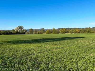Gewerbeobjekt kaufen in 4073 Wilhering