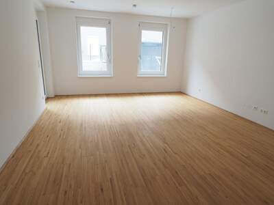 Mietwohnung in 2842 Edlitz (Bild 3)