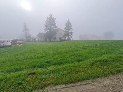 Grundstück kaufen in 4441 Behamberg (Bild 2)