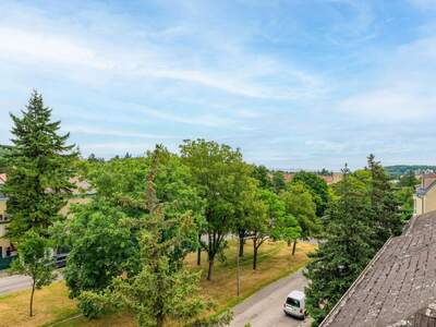 Altbauwohnung kaufen in 1130 Wien (Bild 2)