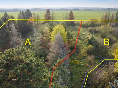 Grundstück kaufen in 2230 Gänserndorf