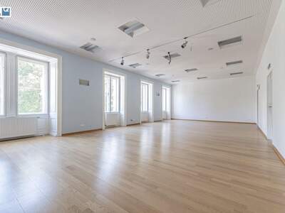 Gewerbeobjekt mieten in 1010 Wien (Bild 5)