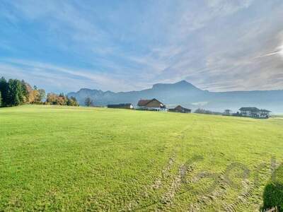Wohnung mieten in 5310 Sankt Lorenz
