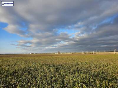 Grundstück mieten in 2440 Gramatneusiedl