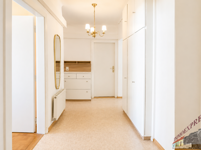 Terrassenwohnung kaufen in 2020 Hollabrunn (Bild 5)