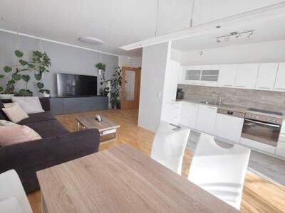Terrassenwohnung kaufen in 2102 Bisamberg (Bild 3)