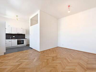 Terrassenwohnung kaufen in 1050 Wien (Bild 3)