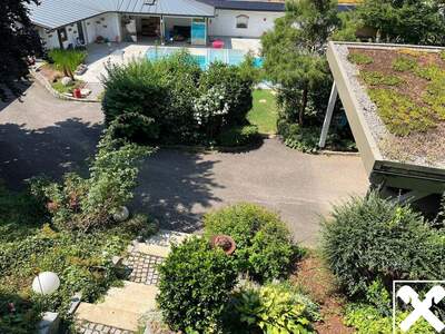 Gewerbeobjekt kaufen in 4320 Perg (Bild 4)