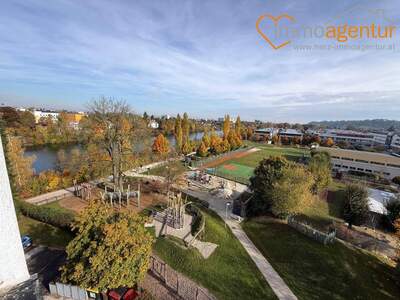 Wohnung kaufen in 4600 Thalheim