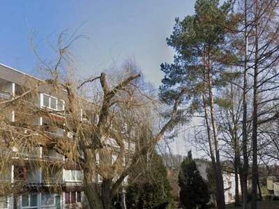 Mietwohnung provisionsfrei in 4060 Bergham