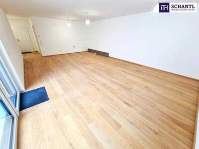 Terrassenwohnung kaufen in 1230 Wien (Bild 1)