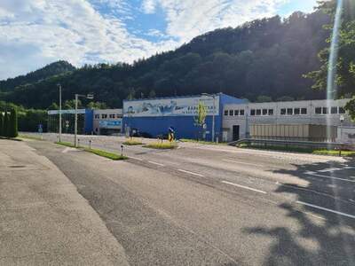 Gewerbeobjekt mieten in 5082 Grödig