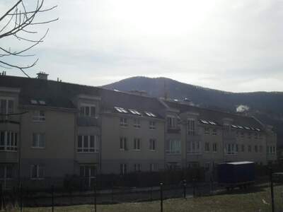 Terrassenwohnung mieten in 3160 Traisen (Bild 2)