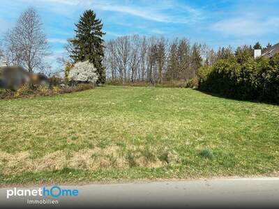 Grundstück kaufen in 3062 Kirchstetten (Bild 2)