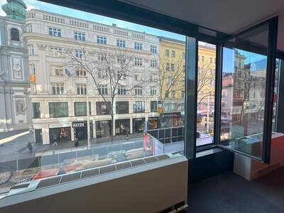 Gewerbeobjekt mieten in 1070 Wien (Bild 3)