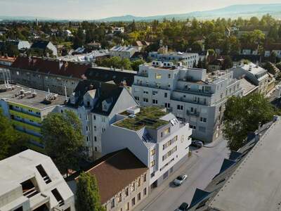 Terrassenwohnung kaufen in 1230 Wien (Bild 2)
