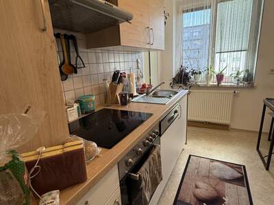 Apartment provisionsfrei mieten in 8750 Steiermark