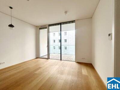 Terrassenwohnung mieten in 1030 Wien (Bild 1)