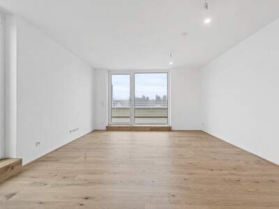 Terrassenwohnung kaufen in 2540 Bad Vöslau (Bild 5)