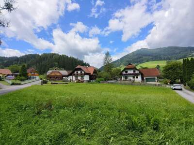 Grundstück kaufen in 8622 Etmißl (Bild 5)