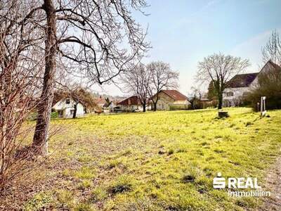 Grundstück kaufen in 4060 Leonding