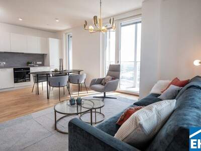 Terrassenwohnung mieten in 1220 Wien (Bild 2)