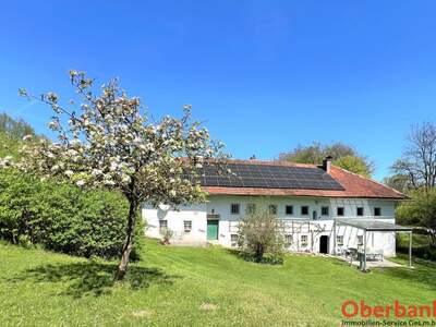 Gewerbeobjekt kaufen in 4553 Schlierbach