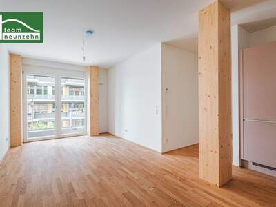 Terrassenwohnung mieten in 1030 Wien (Bild 1)