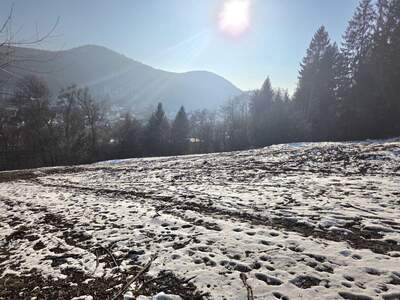 Grundstück kaufen in 3011 Purkersdorf (Bild 1)