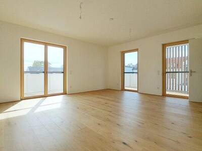 Terrassenwohnung kaufen in 7100 Neusiedl (Bild 2)