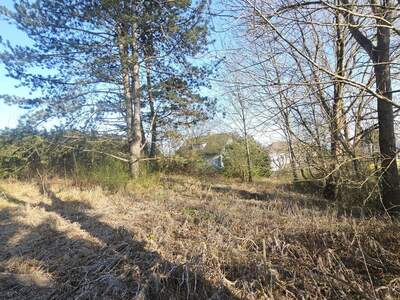 Grundstück kaufen in 8062 Kumberg (Bild 5)