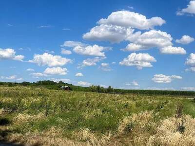 Grundstück provisionsfrei kaufen in 7122 Gols