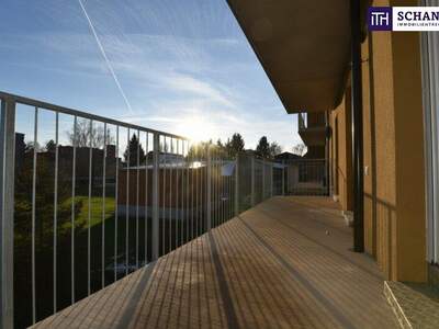 Terrassenwohnung kaufen in 8401 Kalsdorf (Bild 2)