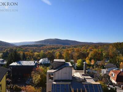 Haus kaufen in 1170 Wien