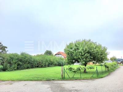 Grundstück kaufen in 4614 Marchtrenk (Bild 4)