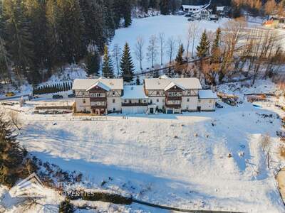 Gewerbeobjekt mieten in 8680 Mürzzuschlag (Bild 2)
