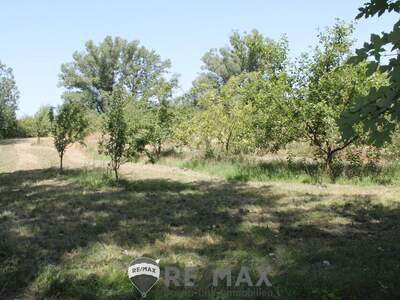 Grundstück kaufen in 2011 Sierndorf (Bild 2)