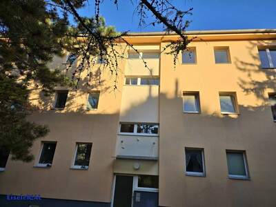 Wohnung mieten in 2380 Perchtoldsdorf