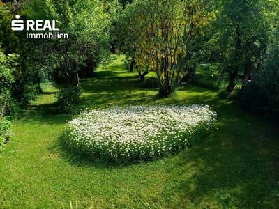 Haus kaufen in 3843 Dobersberg (Bild 4)