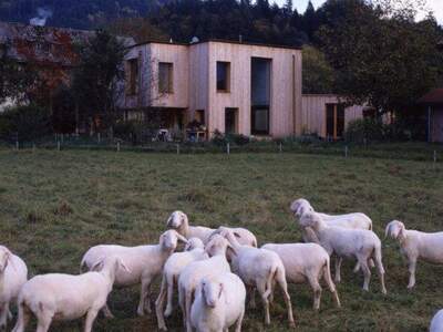 Einfamilienhaus kaufen in 5440 Golling
