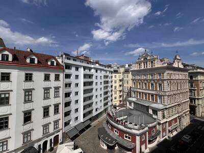 Wohnung mieten in 1010 Wien (Bild 2)