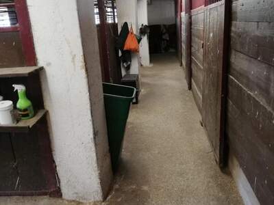 Immobilie mieten in 8732 Seckau (Bild 3)