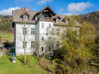 Mehrfamilienhaus kaufen in 4575 Roßleithen