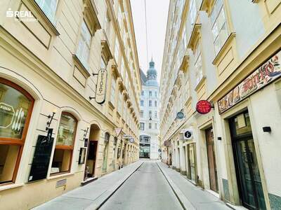 Wohnung kaufen in 1010 Wien